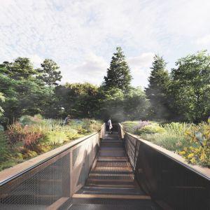 Atlantic Temperate Rainforest Research Station - Format Engineers structural design