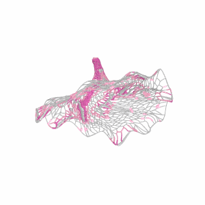 The Garden of Resuscitation - Format Engineers structural design